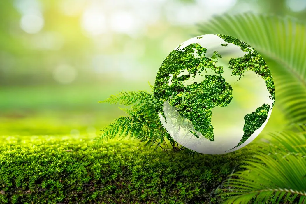 Newly enacted Environmental Conservation Rules 2023