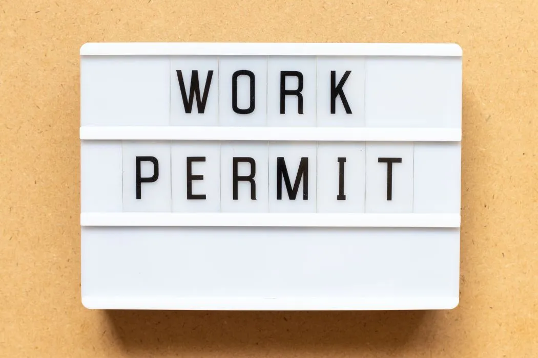 Visa, Work Permits & Security Clearance for expatriate employees, directors and shareholders